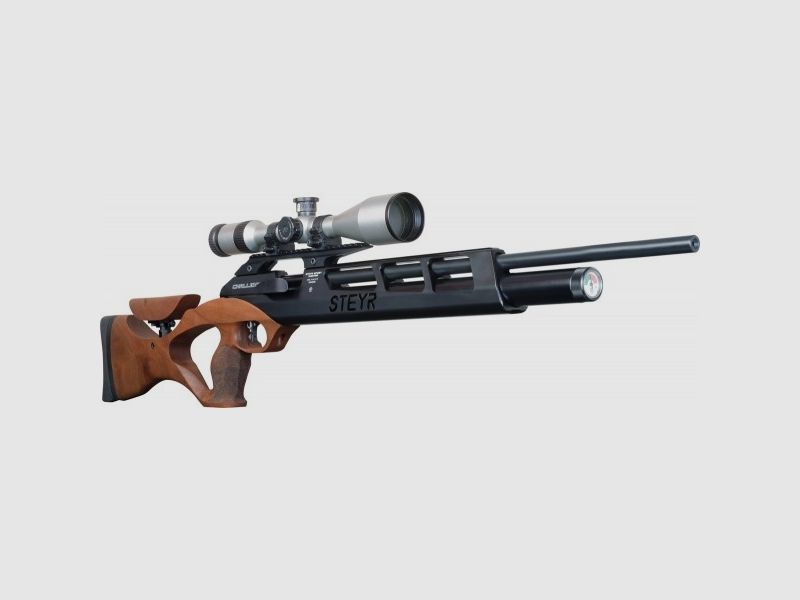 Steyr Challenge Hunting 4.5mm