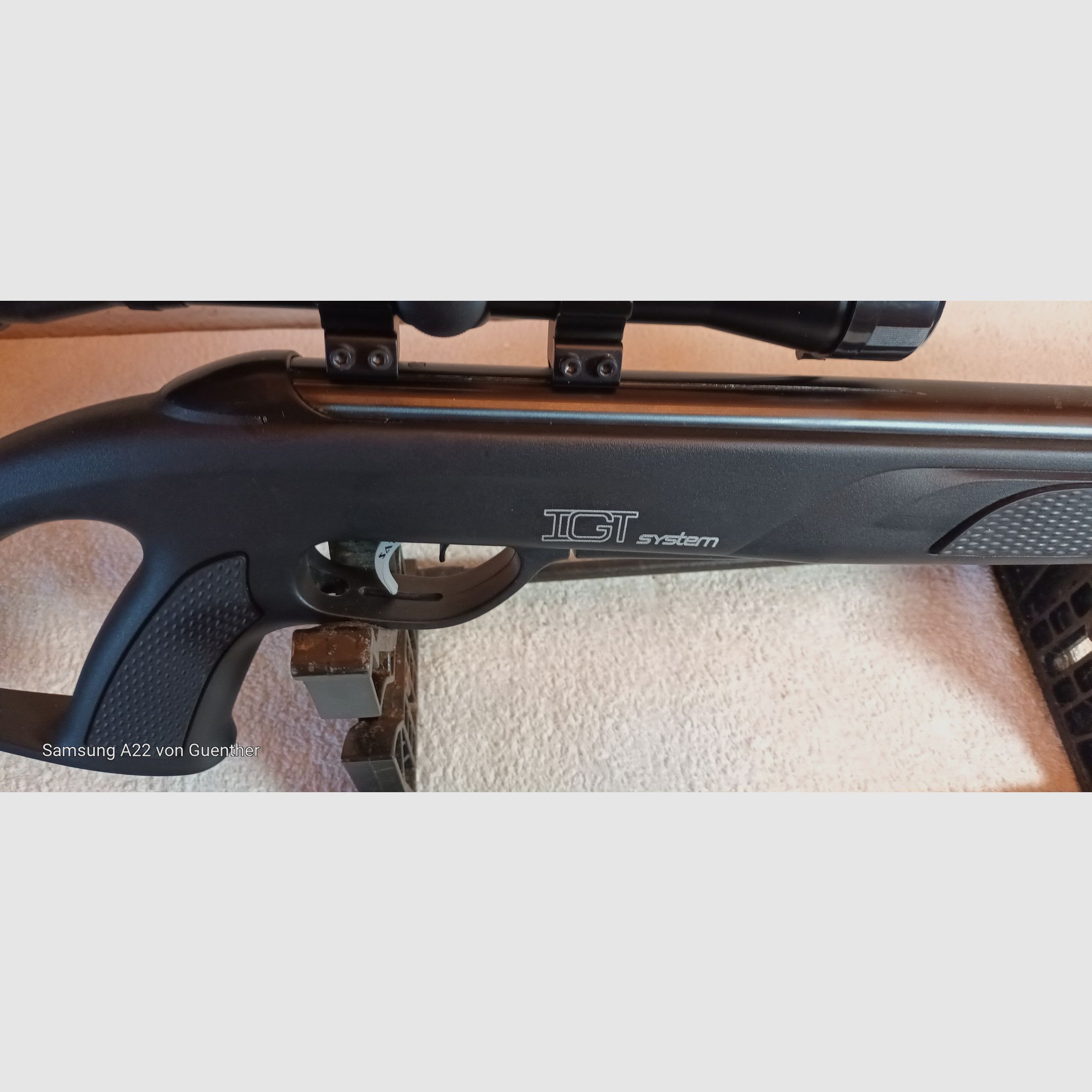 GAMO CFR whisper IGT