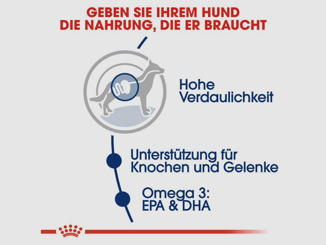 ROYAL CANIN Große Hunde Trockenfutter Maxi Adult