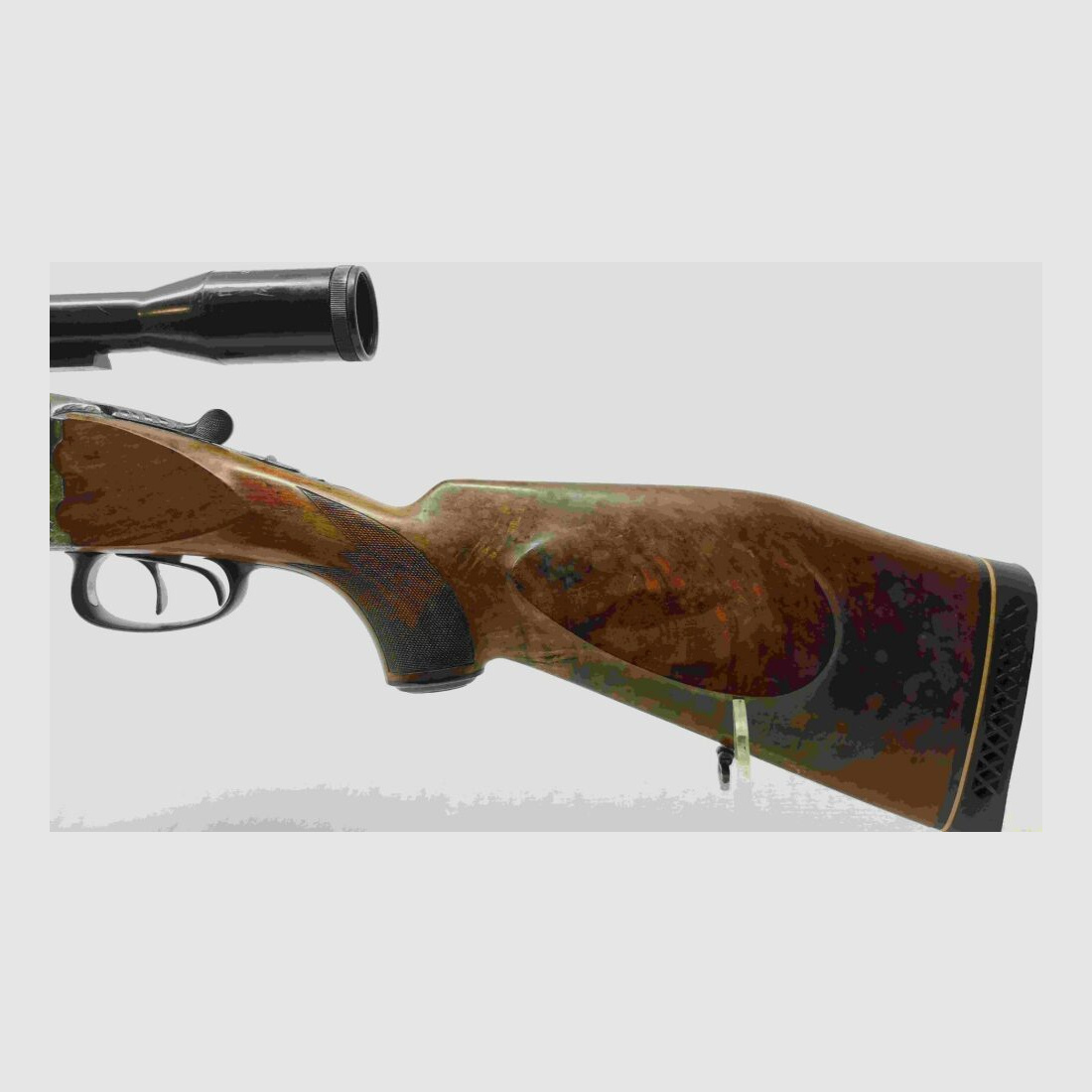 Esha R. Flückiger Switzerland - Combination rifle with interchangeable barrel