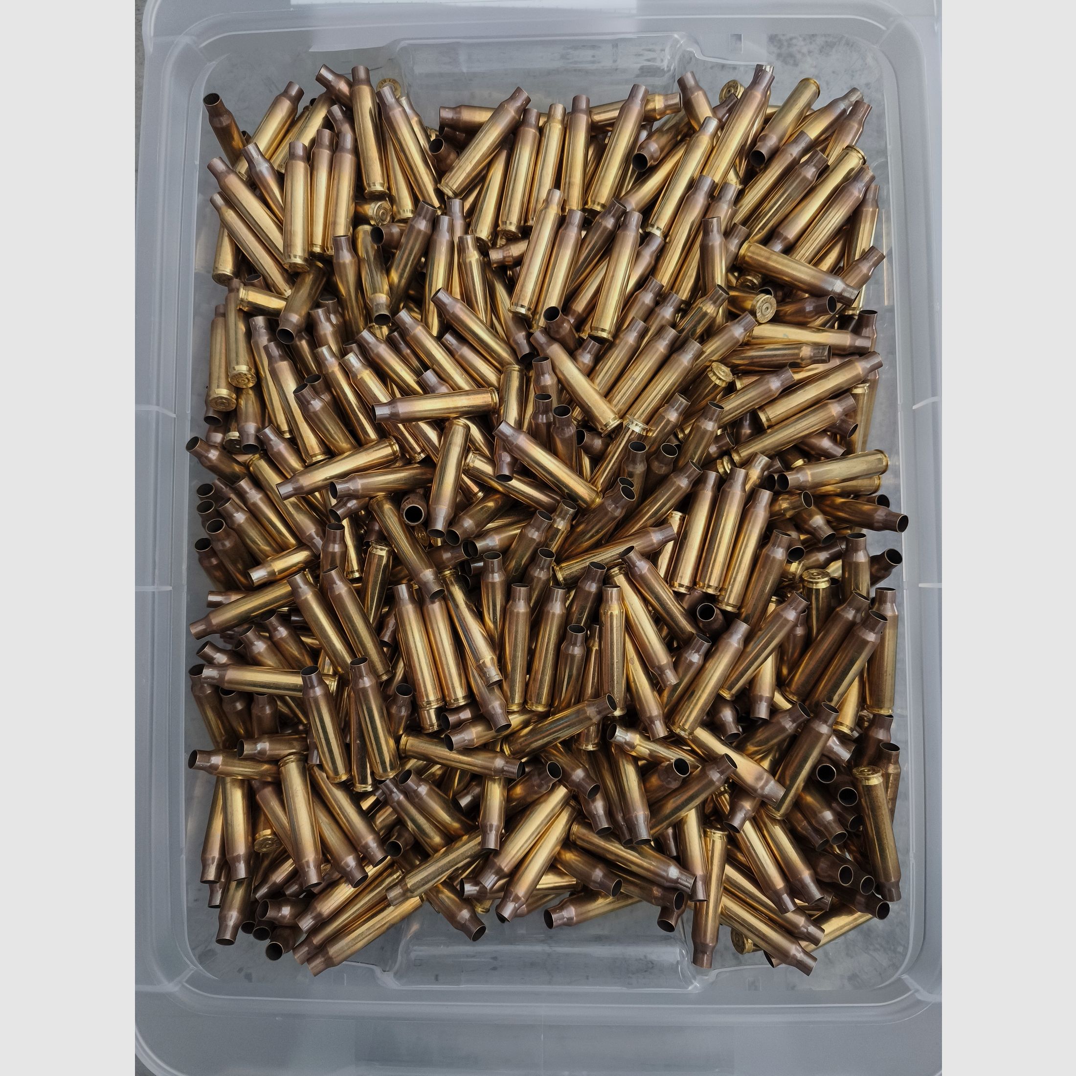 Patronenhülsen - Messing - 9mm Luger, .223 Rem - poliert, einmal verschossen