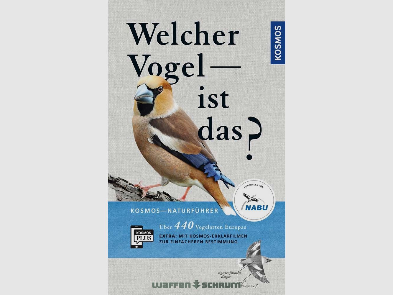 Kosmos Welke vogel is dat? Dierschke