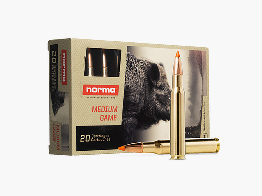 Norma Tip Strike .300 Win Mag 170 grains