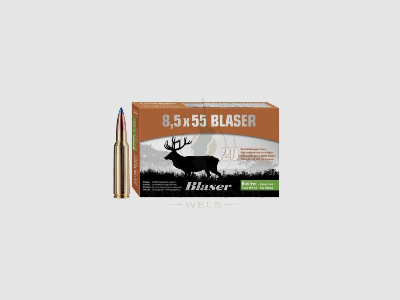 Blaser Kal. 8,5x55, 160gr, 20 Stk./Pkg.