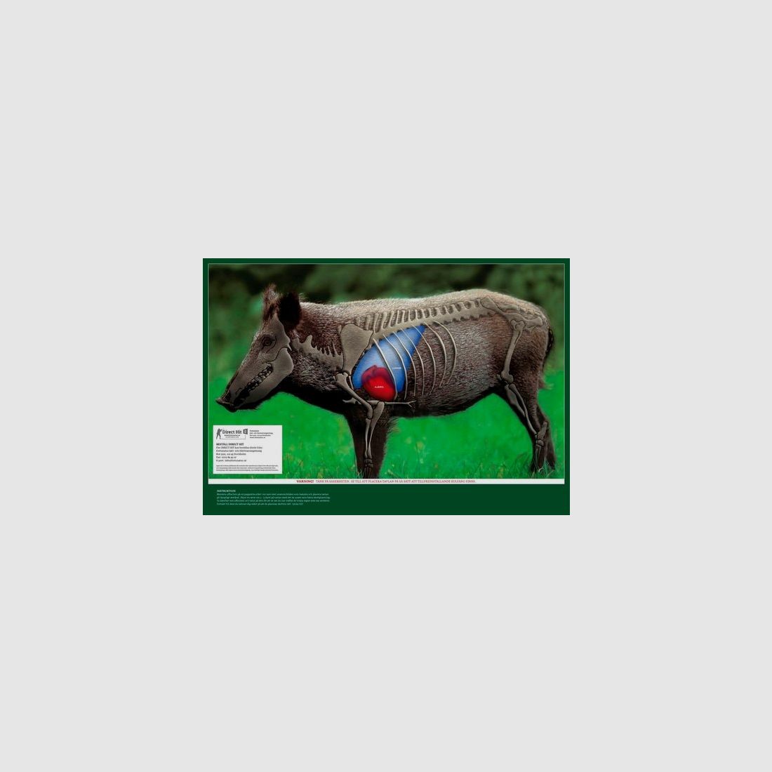 5etta Colpo Diretto Cinghiale 4-Pack incluso Coperture.