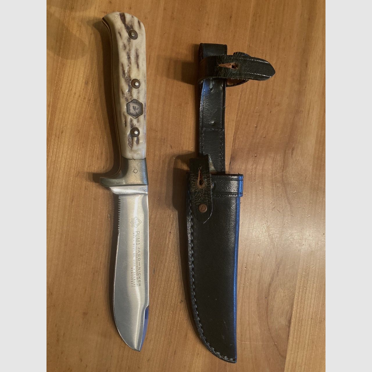 Puma chasse Nicker 3589