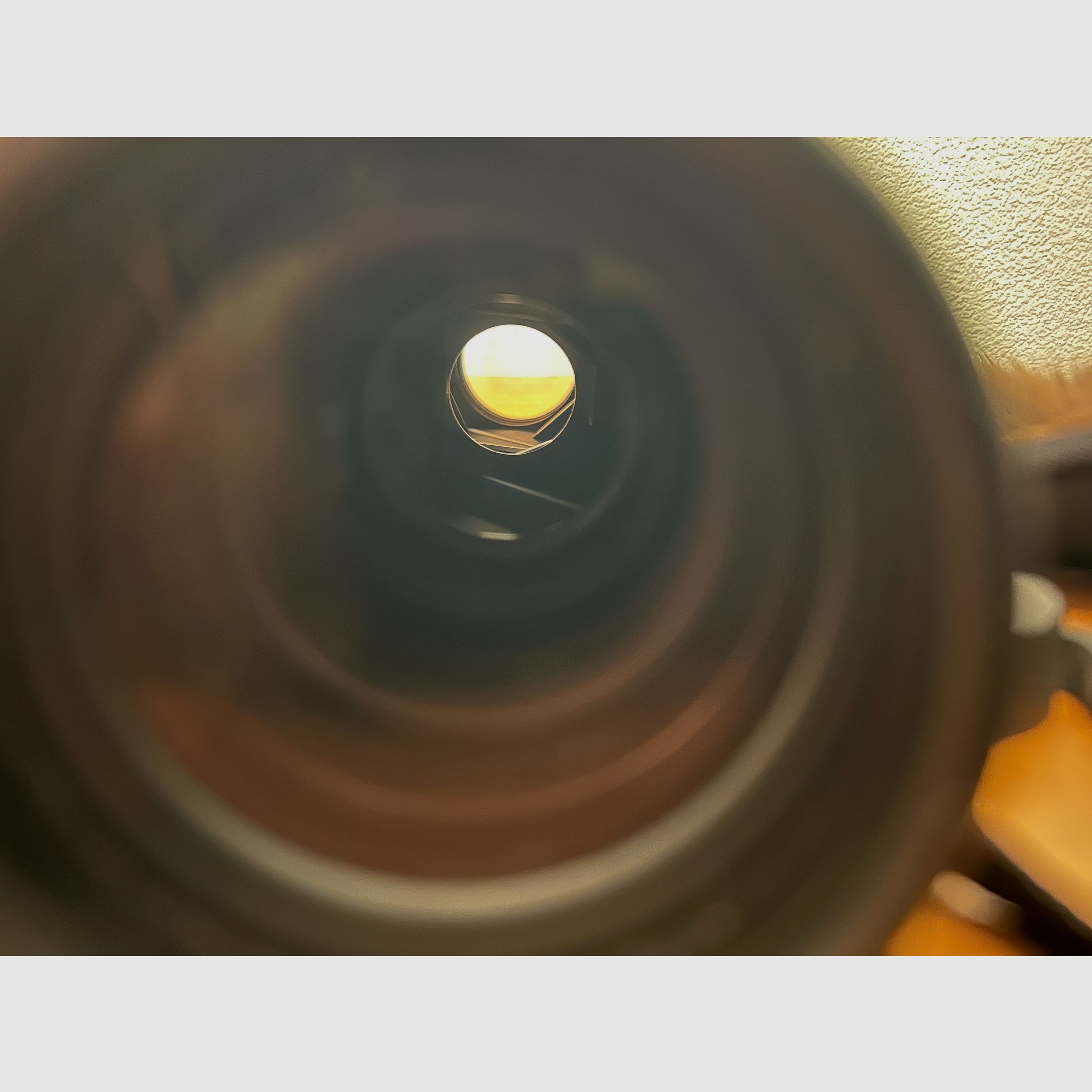 Blaser Primus 8x56 Fernglas