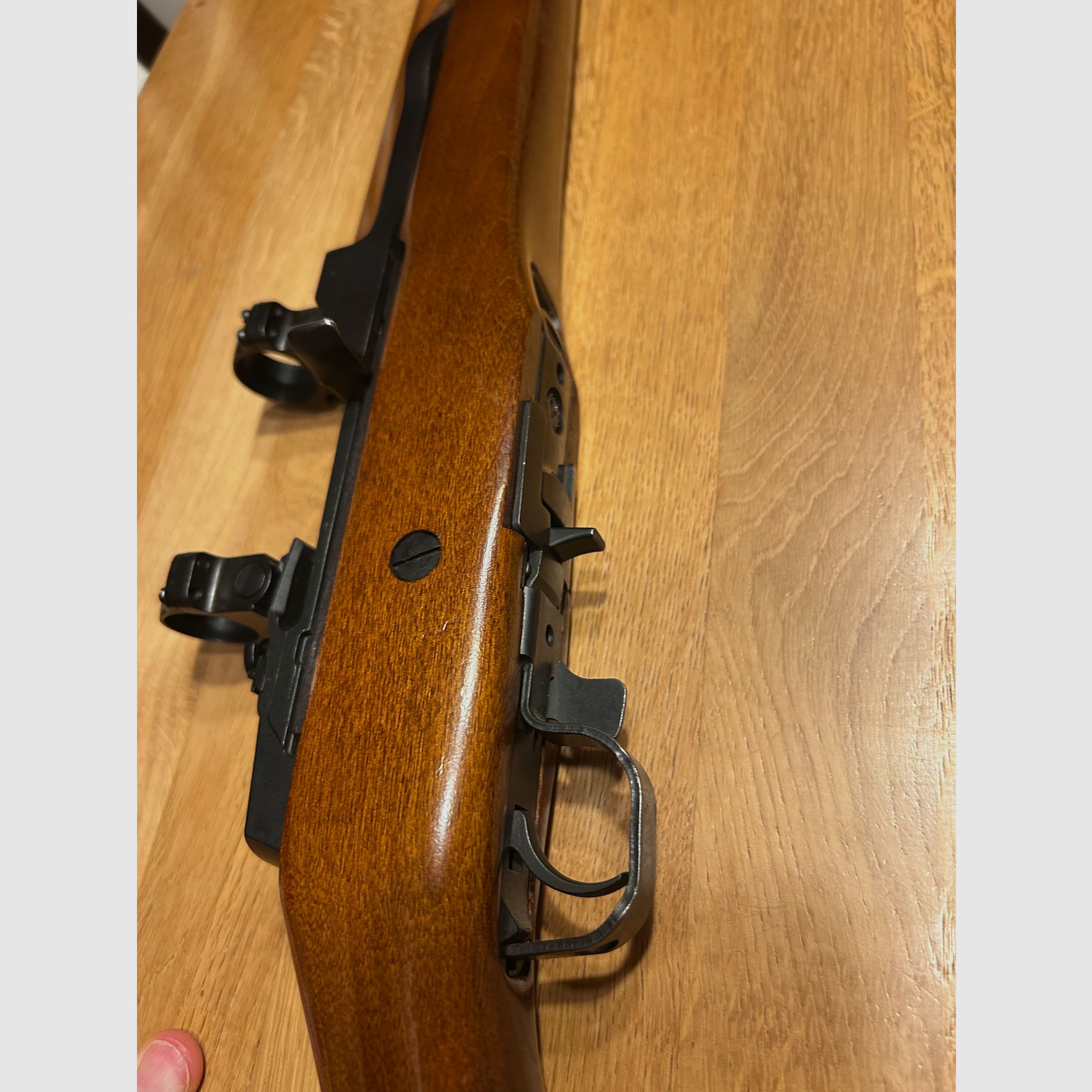 Ruger mini 14