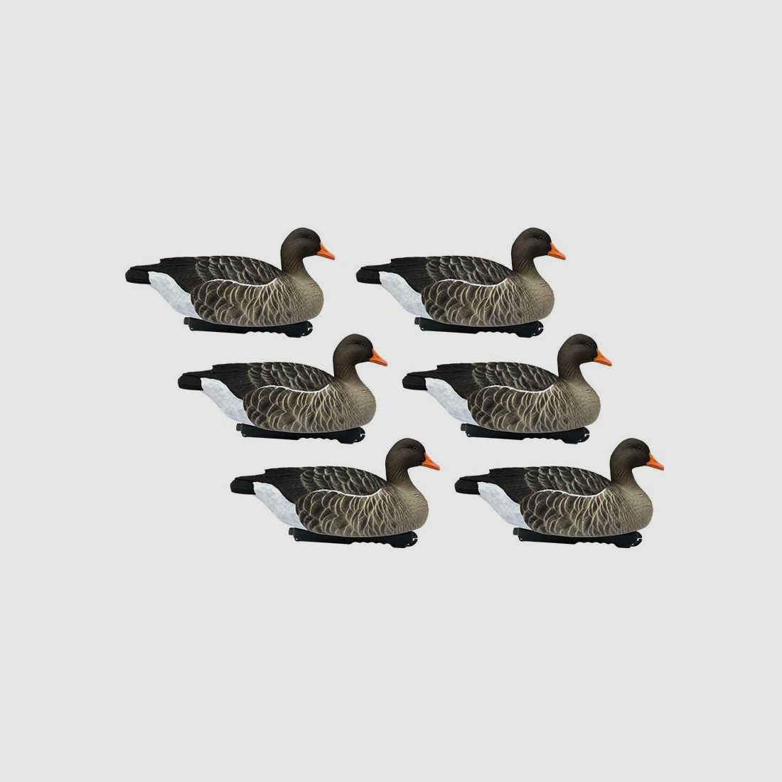 Schwimmende Graugansform HD x6, Bild 1 von 3