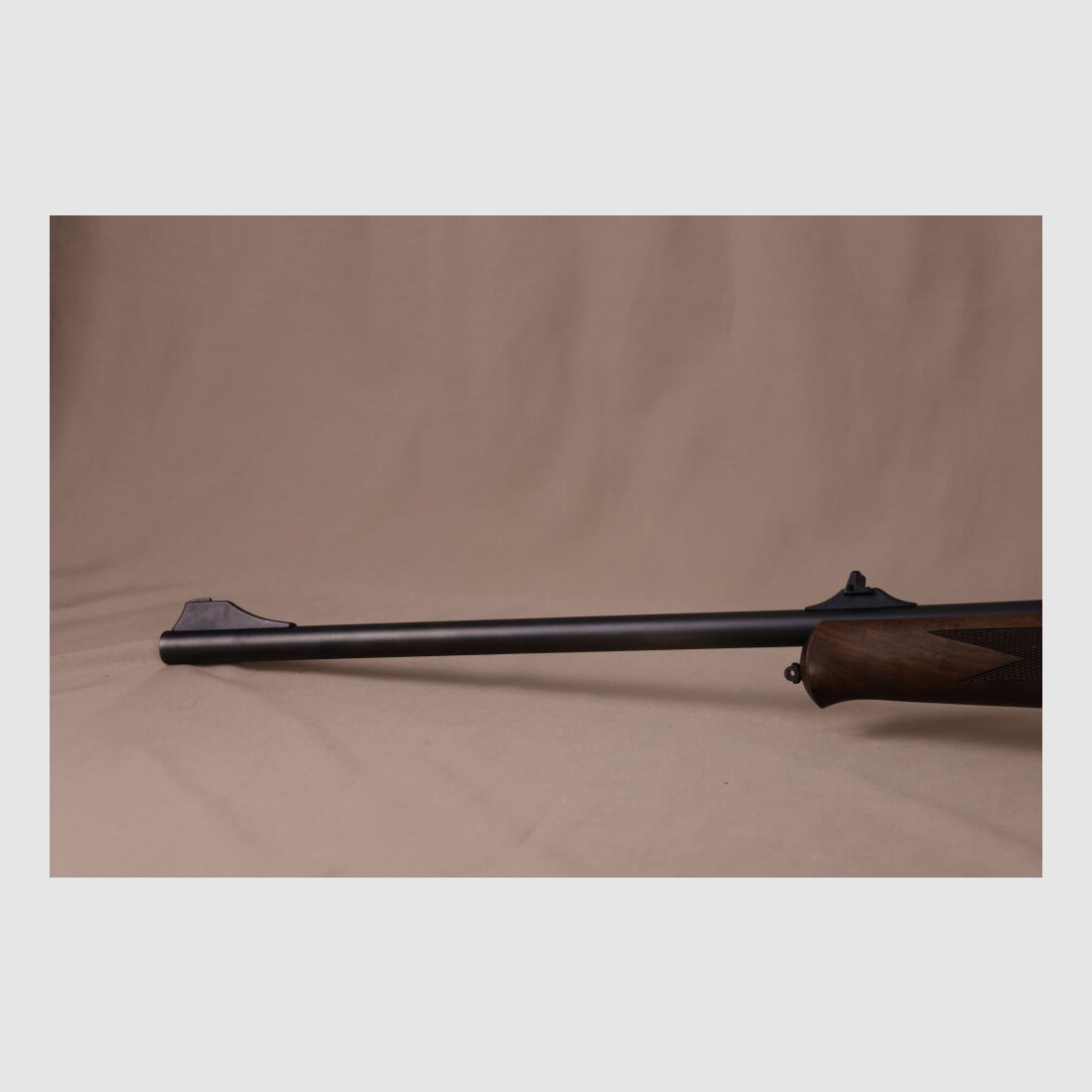 Blaser R93 // Wood // Swarovski with Red Dot!!!
