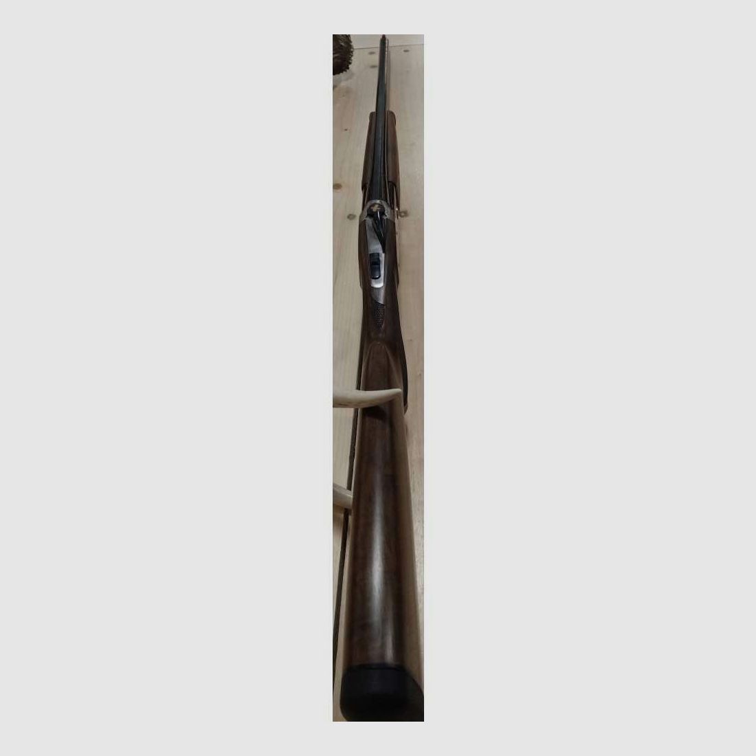 Bettinsoli Xtrail lite luxe d'expo, Bild 1 von 4