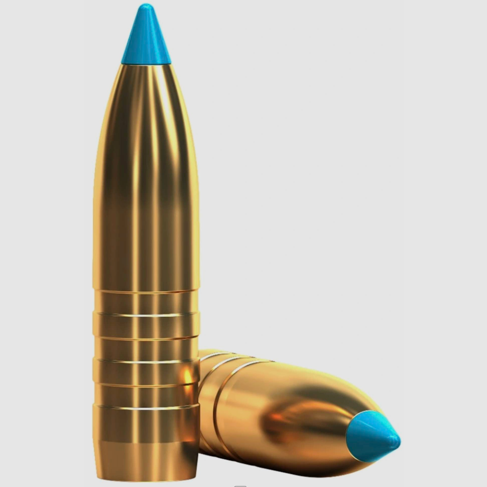 Sellier & Bellot 2003961 .30-06 Spr. tipped eXergy blue 11,7g 180grs.