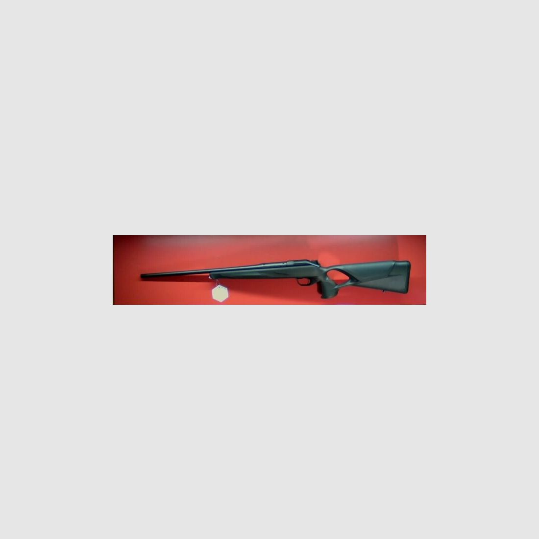 Blaser	 R8
