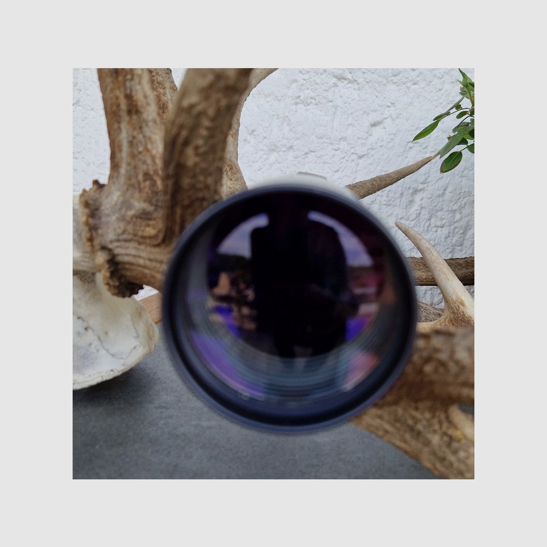 Zeiss  Diavari-ZM 3-12×56