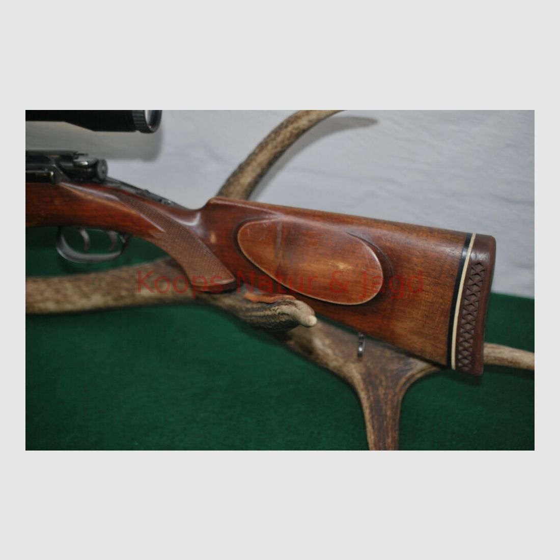 Steyr Mannlicher GK