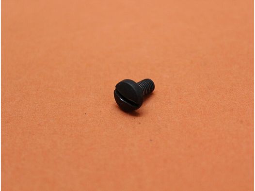 BUND SURPLUS Heckler&Koch HK G3: Screw H&K (M5x10 DIN 85-8G) for pistol grip BUND Surplus