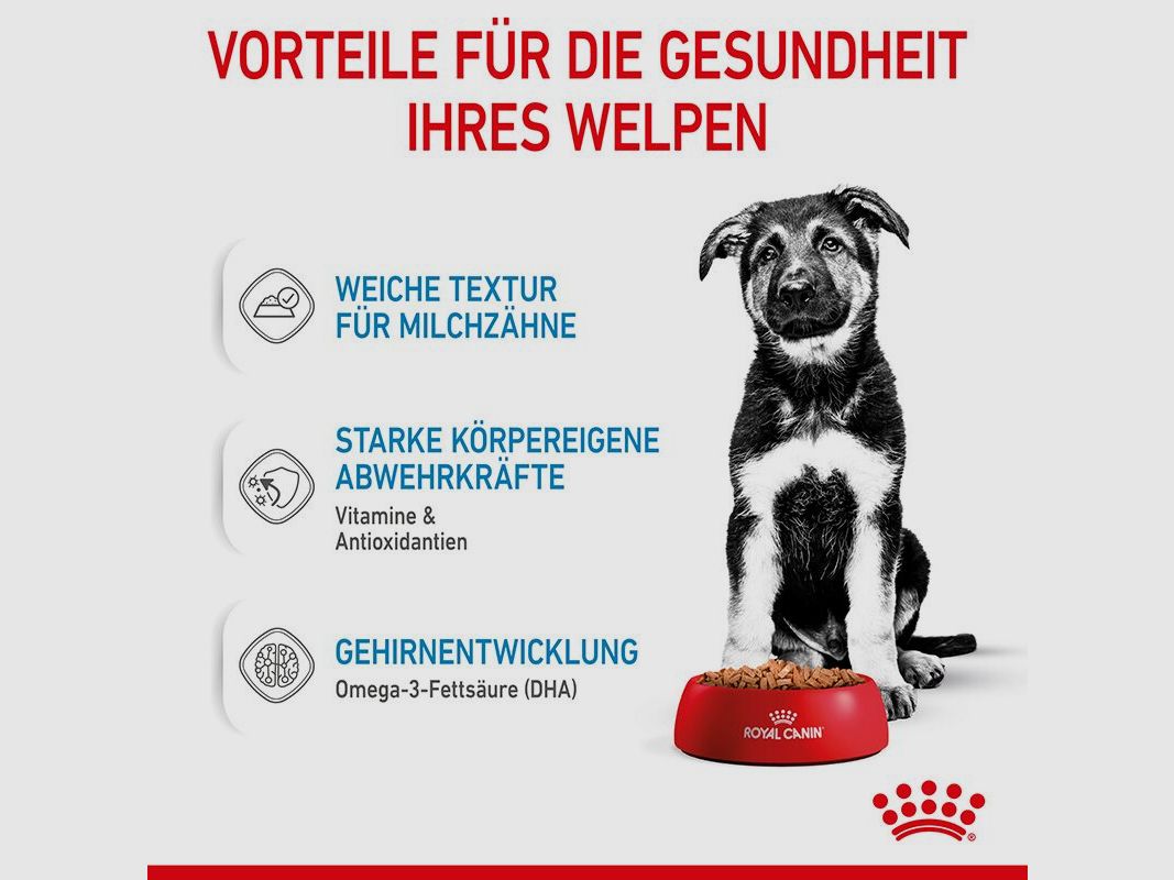 ROYAL CANIN Große Hunde Nassfutter Maxi Welpen bis zum 15. Monat 10x140 g