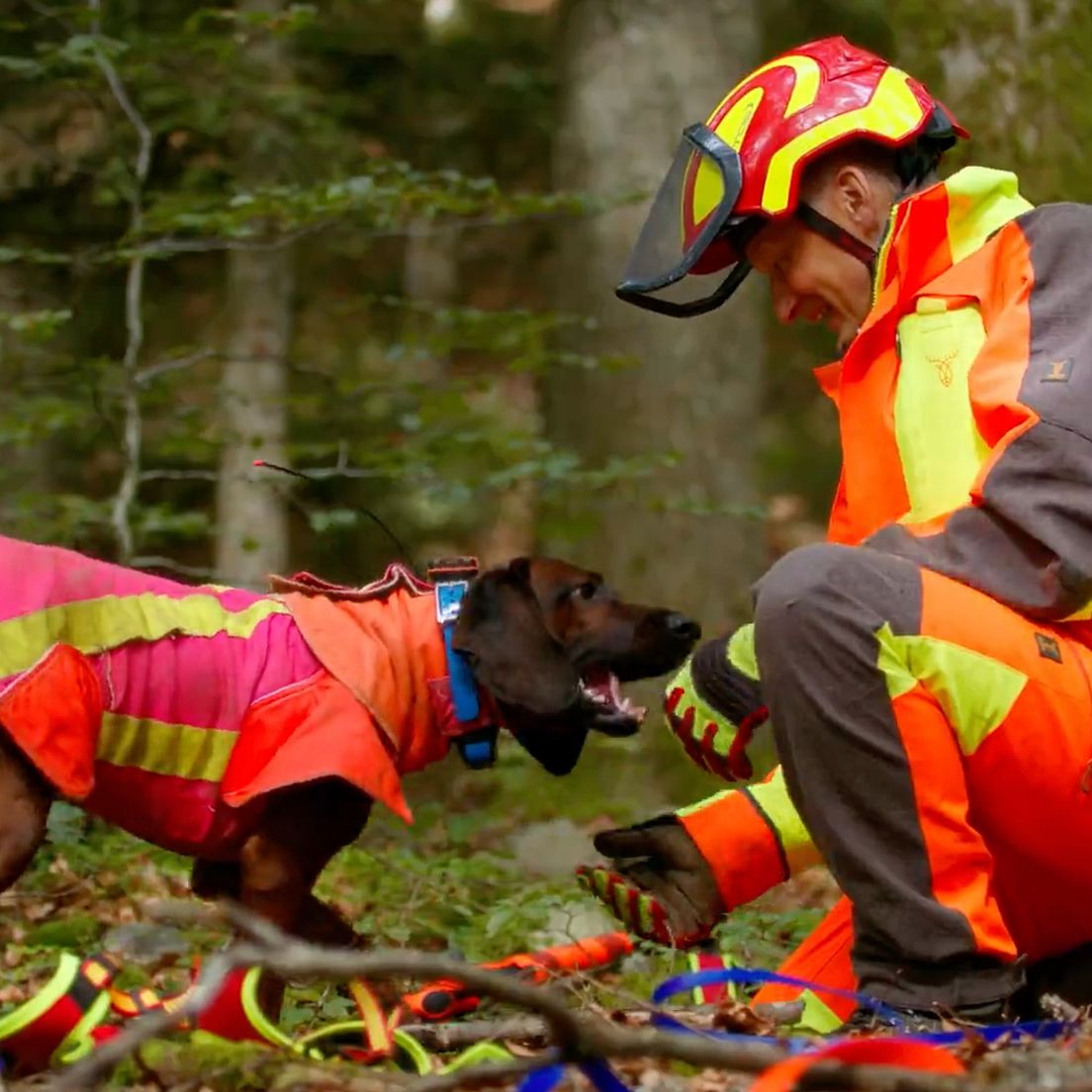 Die Schweißarbeit mit dem Hund