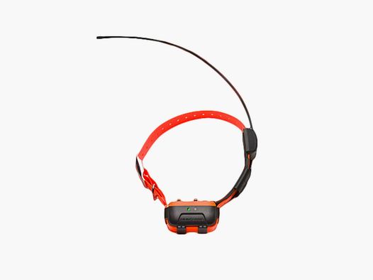 NUM’AXES – GPS 2 – ZUSATZHALSBAND