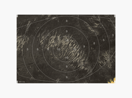 Miroir pour cible sauvage DJV n° 2 (Culling)