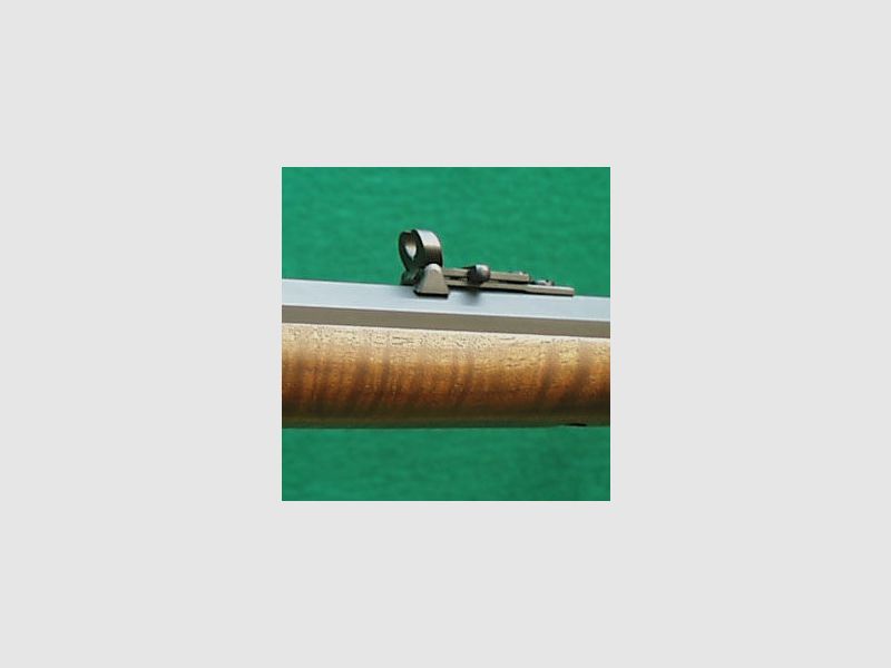 C.Sharps Montana Armoury Sharps 1874