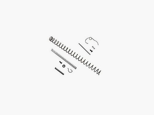 Federn Service Kit Kahr TP40 New