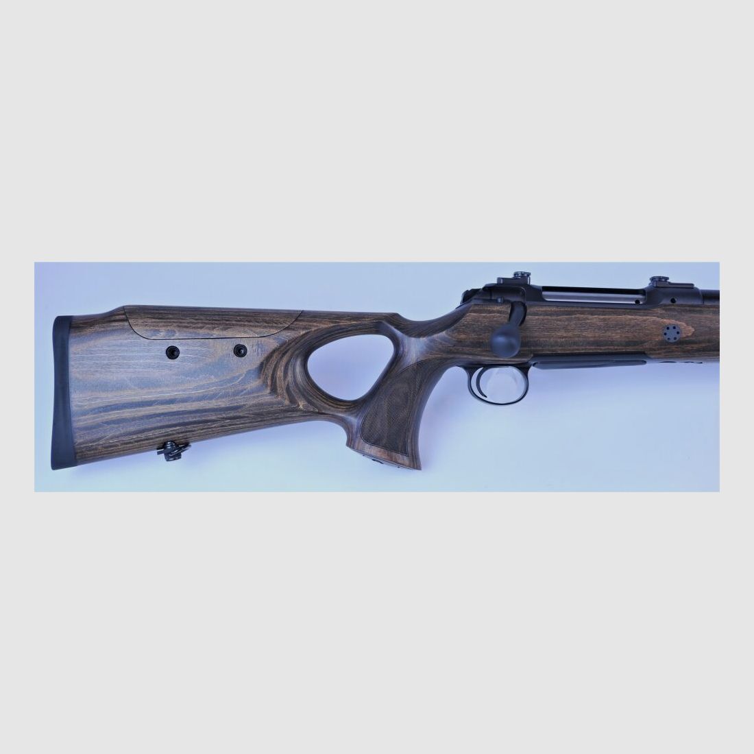 Sauer S101 Silence GTI