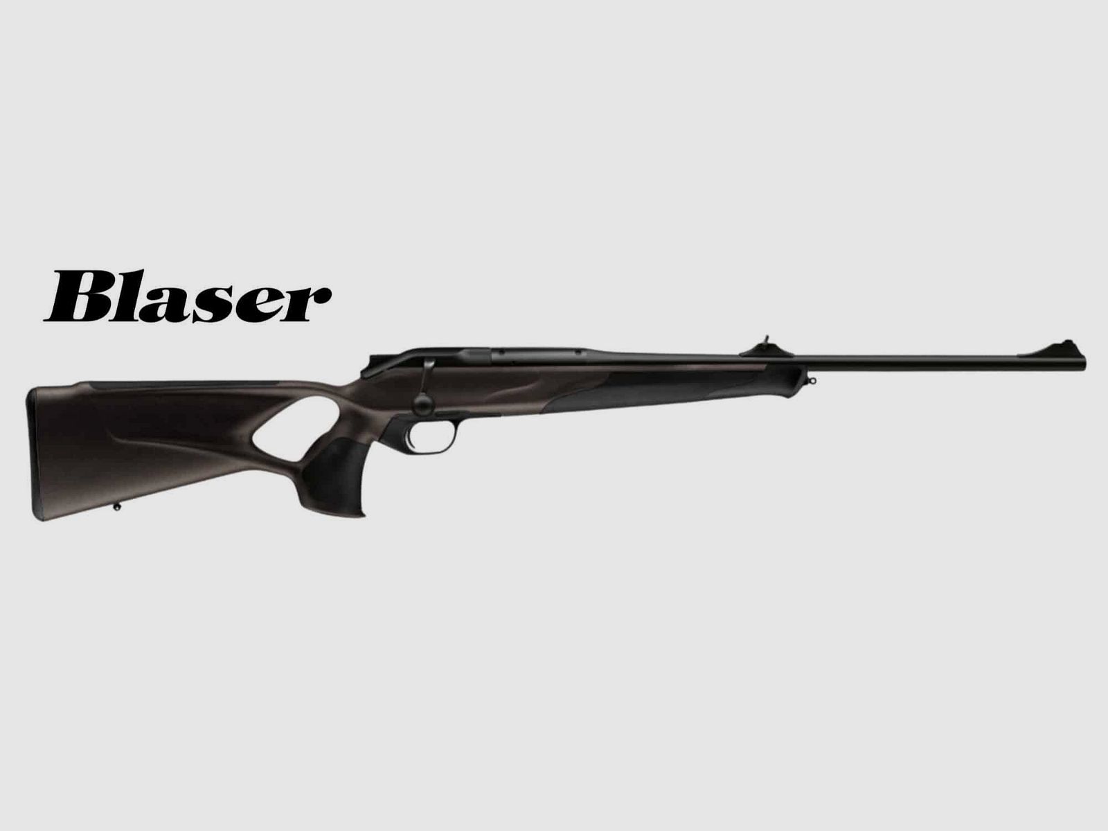 Blaser R8 Professional Success