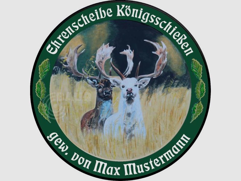 Schützenscheibe ECO-LINE Motiv 221