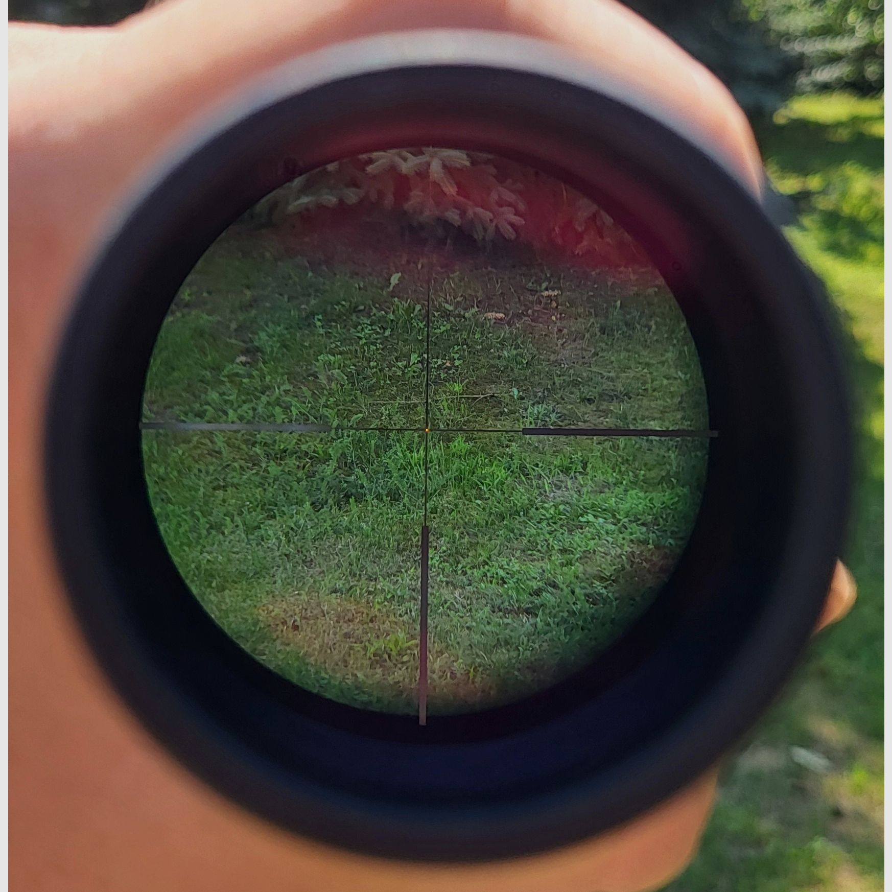 VB! Haenel Jäger 9 mit Zeiss Conquest V6 2-12x50 M Komplettpaket || Kipplaufbüchse mit Zielfernrohr || KLB + ZFR