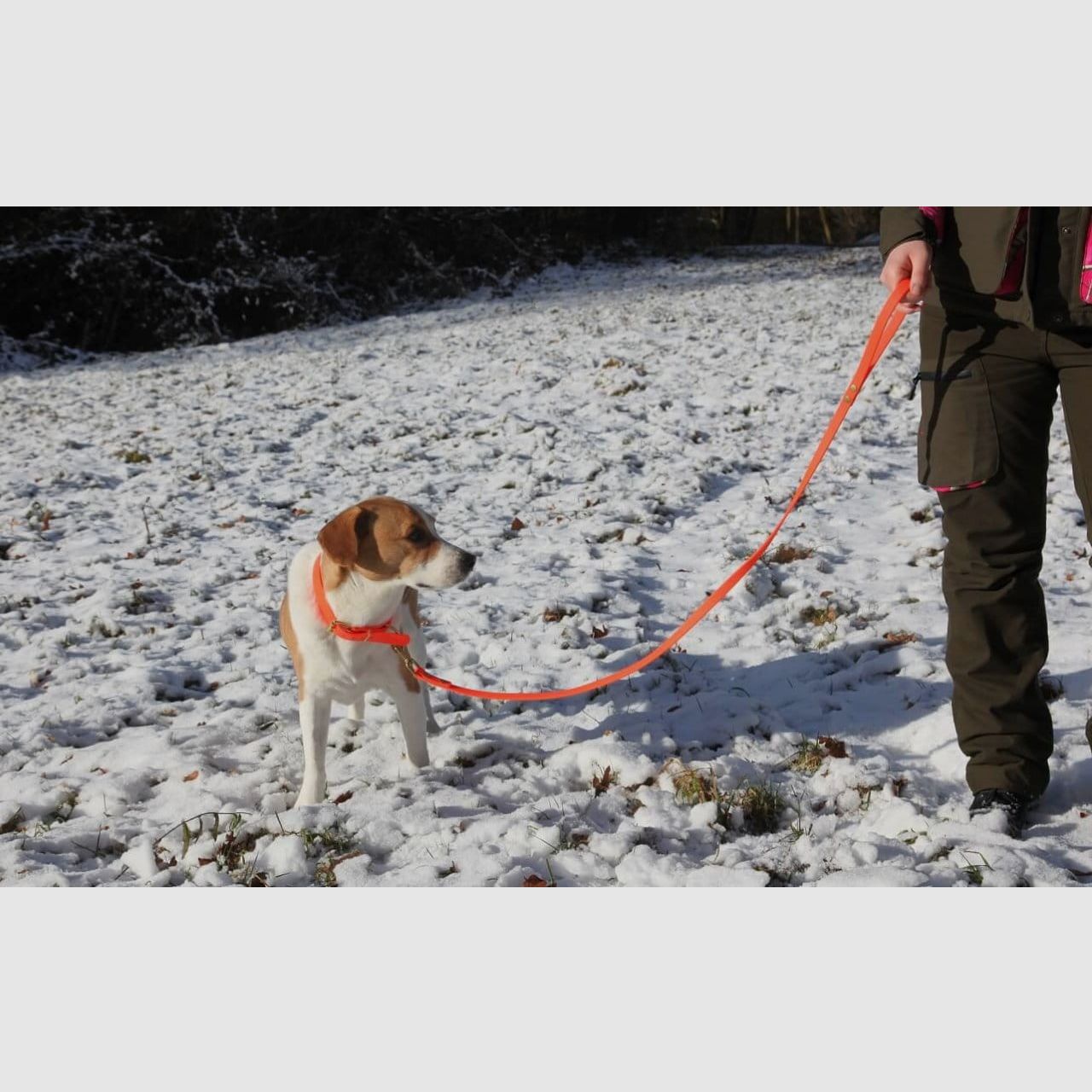 Rüdemeister - Führleine 2 m BioThane 16 mm