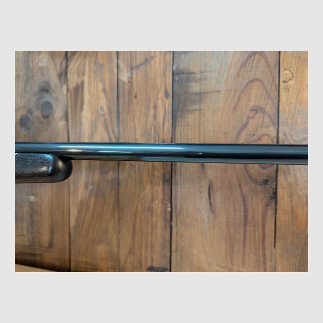 Sauer 80