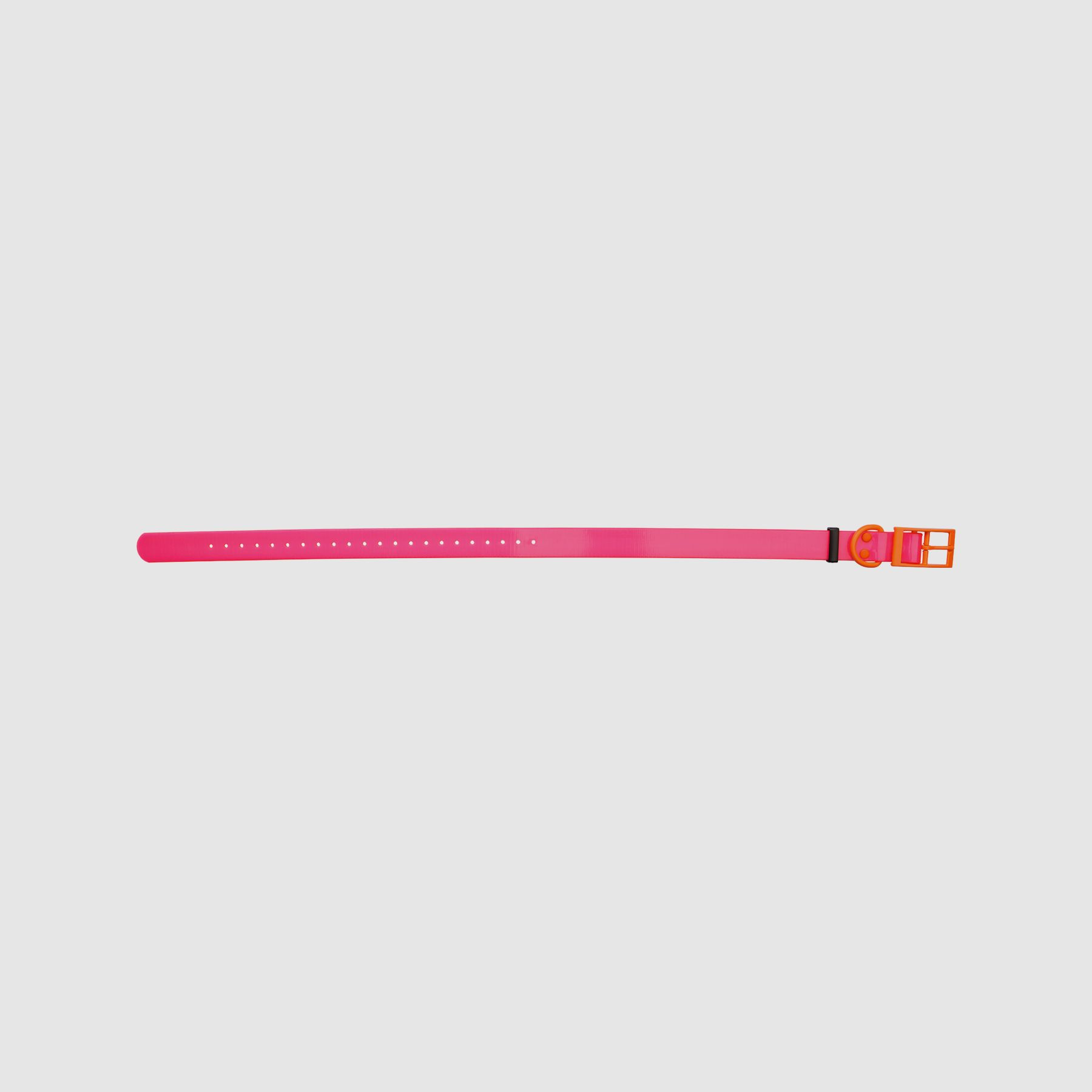HP&G Hundehalsband 25mm Pink