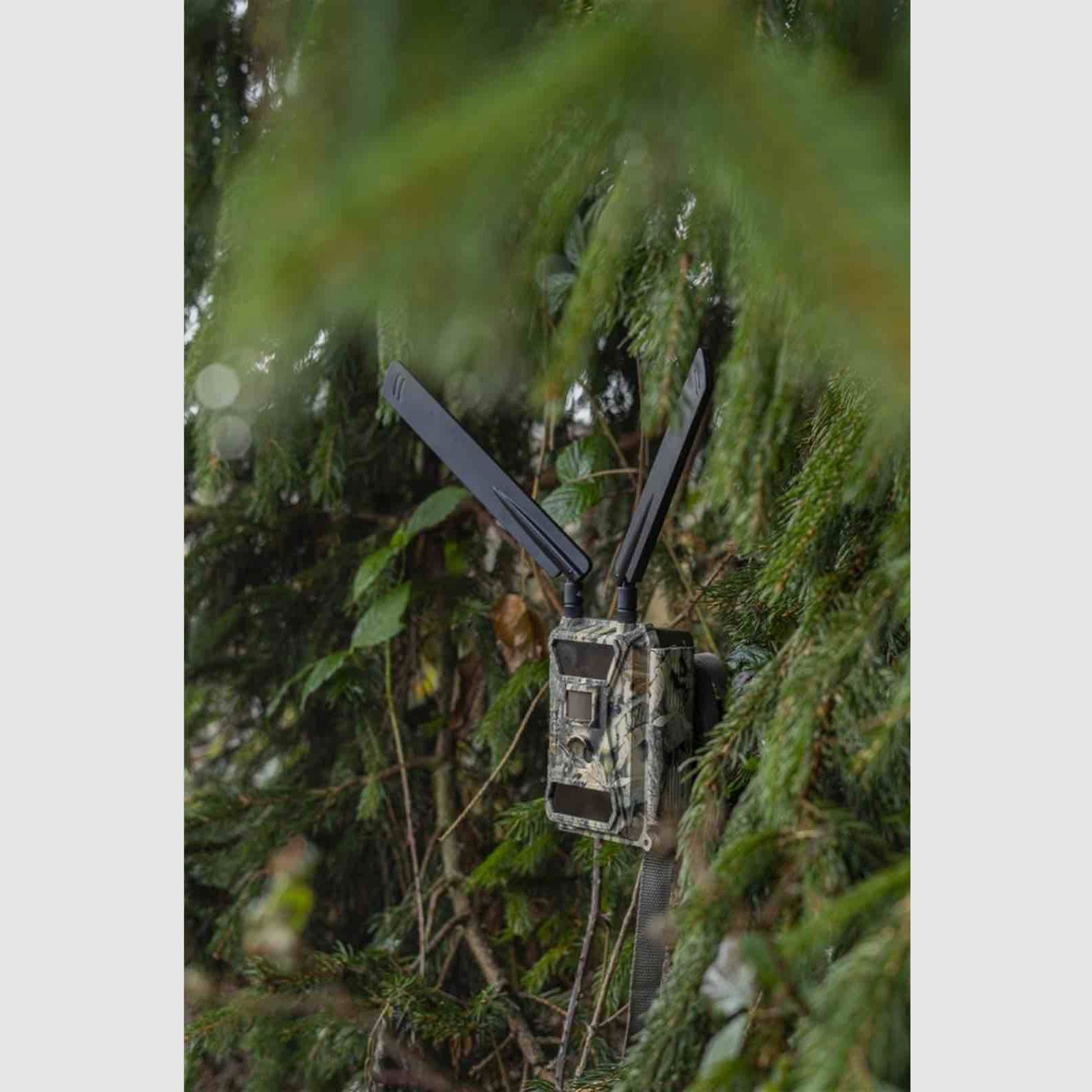 Dörr 204440 Wild und Überwachungskamera SnapShot Cloud 4G