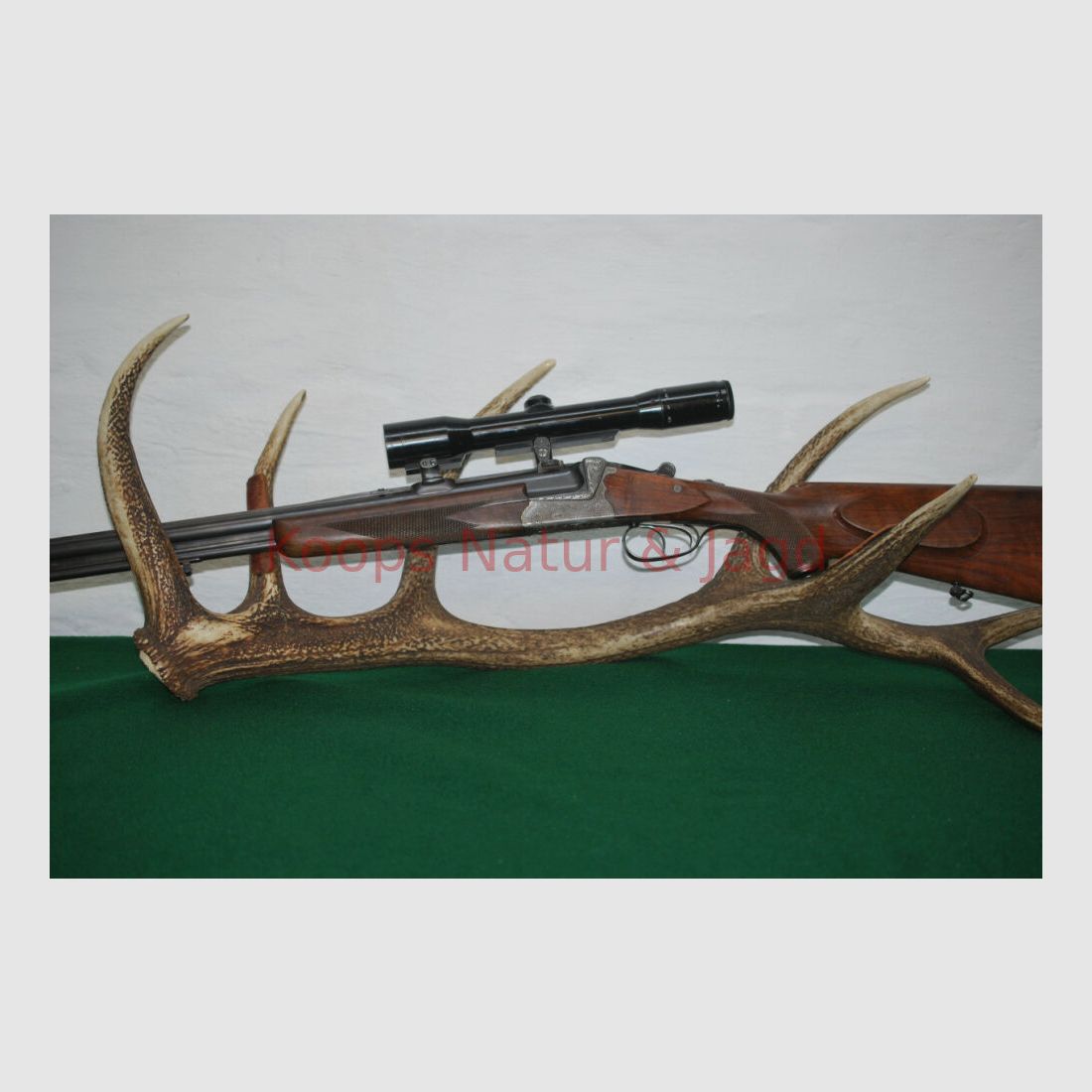 Sauer & Sohn 54