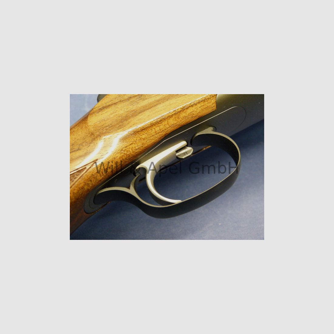 Blaser F16 Game INTUITION