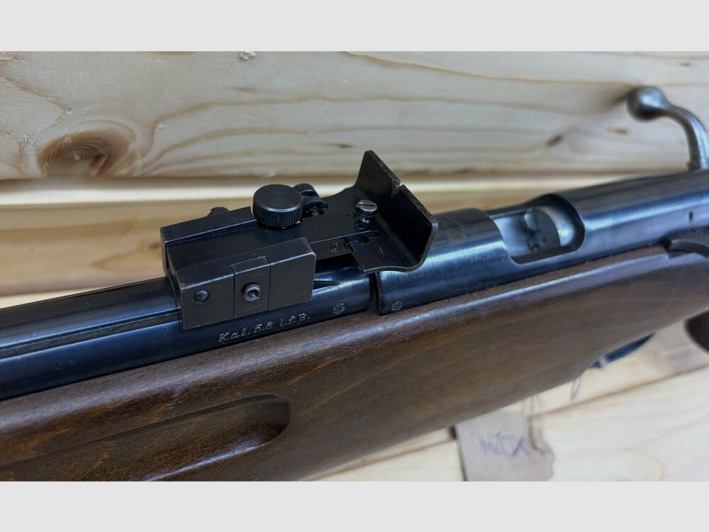 Sauer & Sohn ohne .22lr
