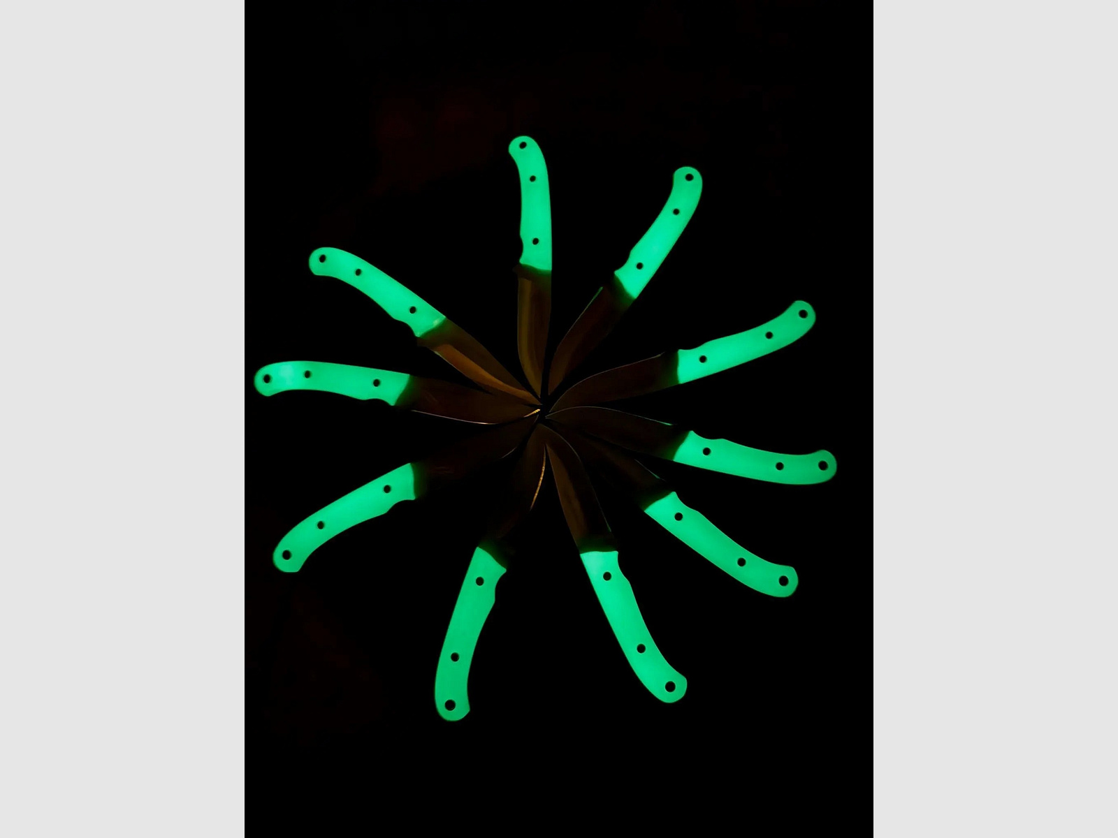 PUMA IP catamount nachleuchtend