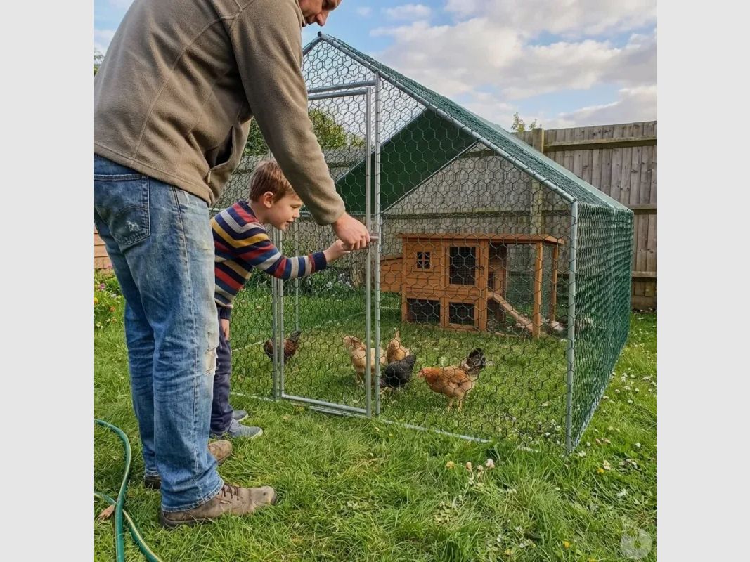 Chicken coop galvanized metal 24 m² mesh 25 mm, image 5 of 6