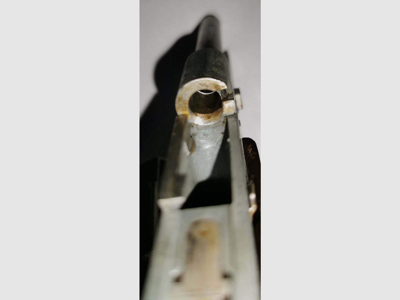 Un colpo di fortuna per i collezionisti