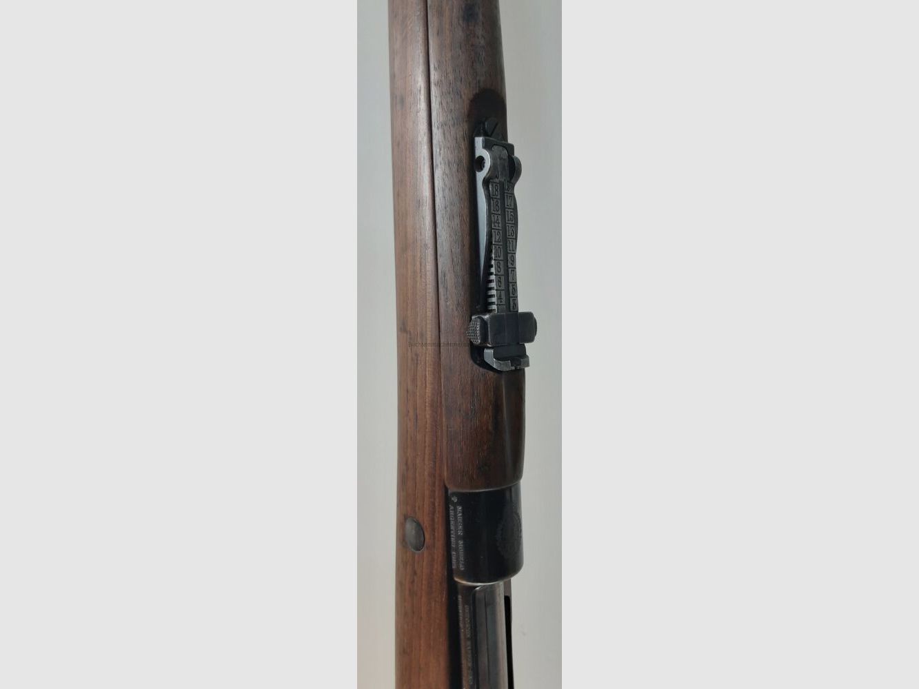 DWM M1909 Argentino