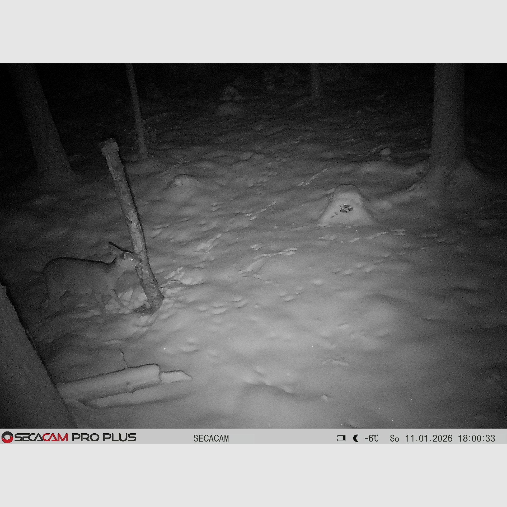 Secacam 