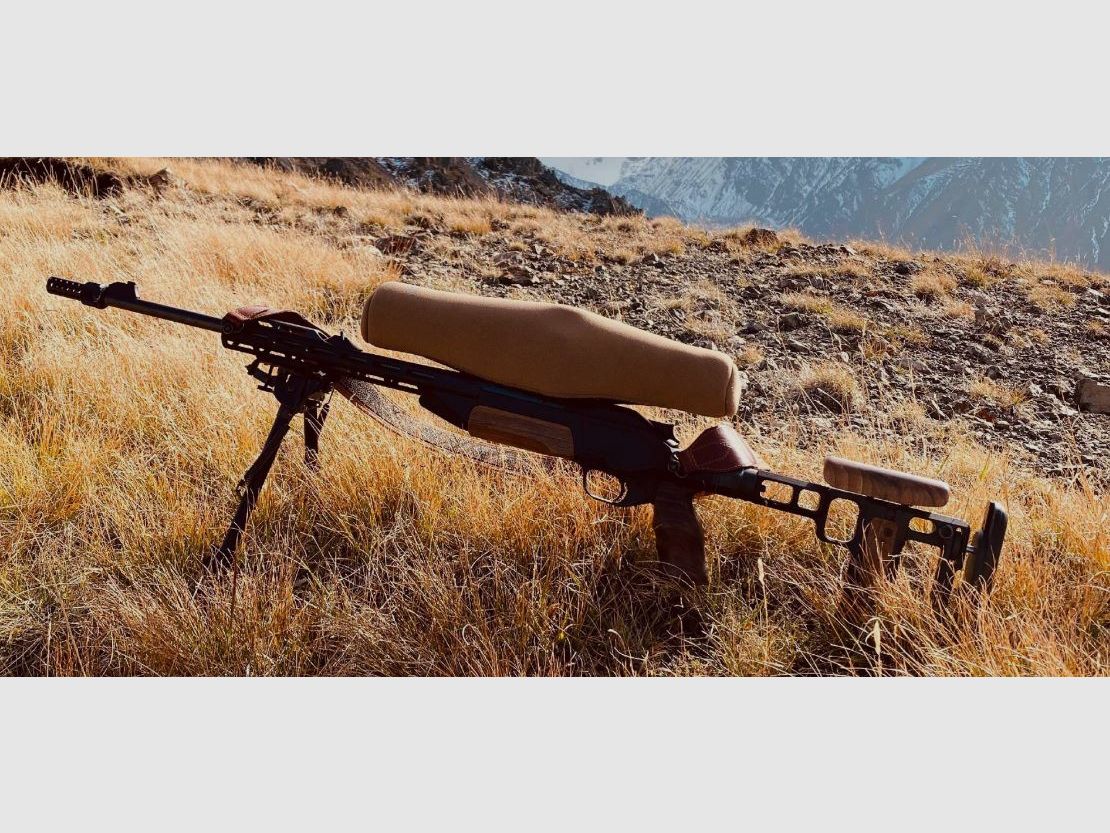 ACSR8 gen.2 Schaft Blaser R8