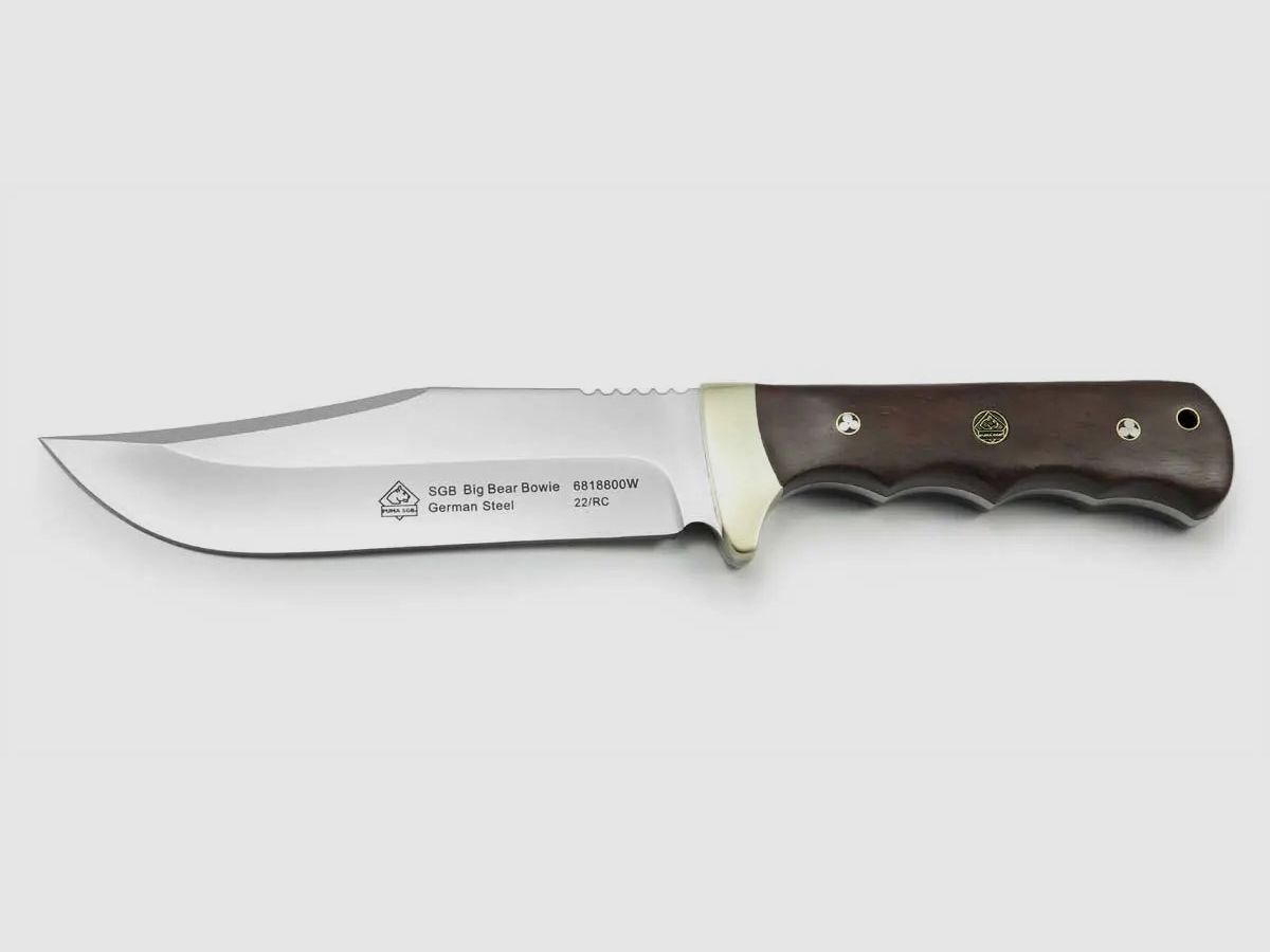 PUMA SGB big bear bowie, Jacaranda
