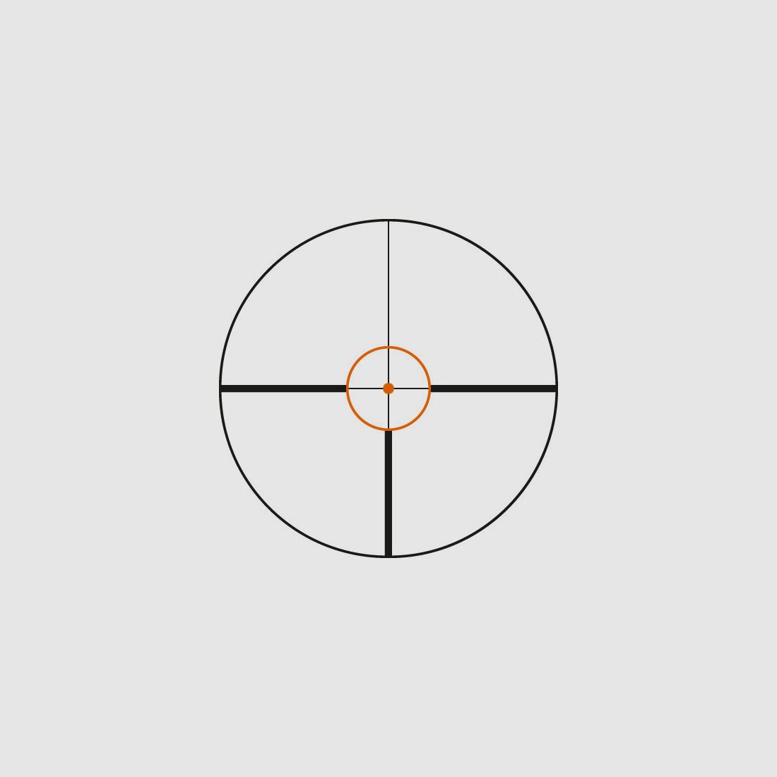 Swarovski Z6I 1-6X24 L CD-I