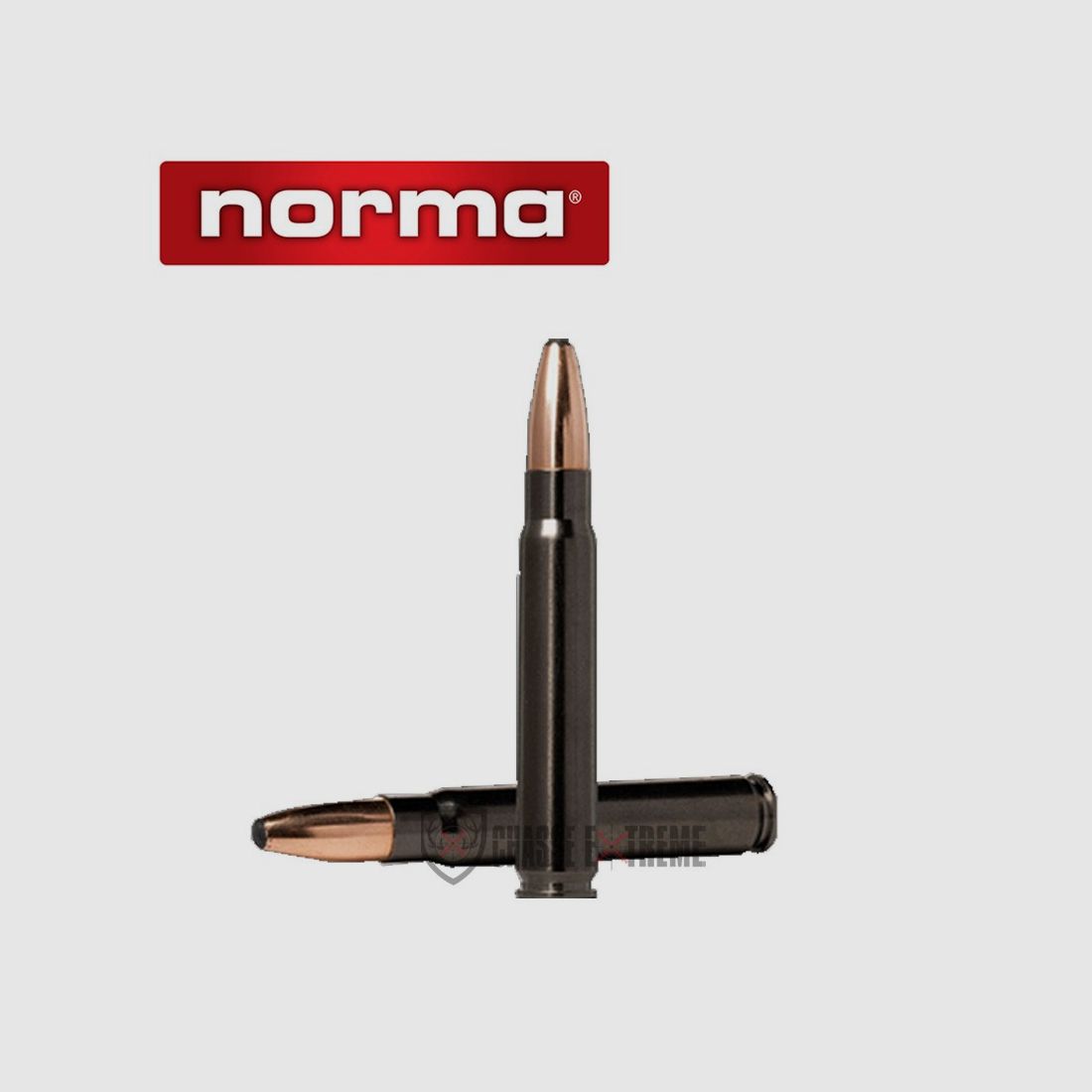 20 Cartridges NORMA Cal 9.3x62 285gr Oryx Silencer