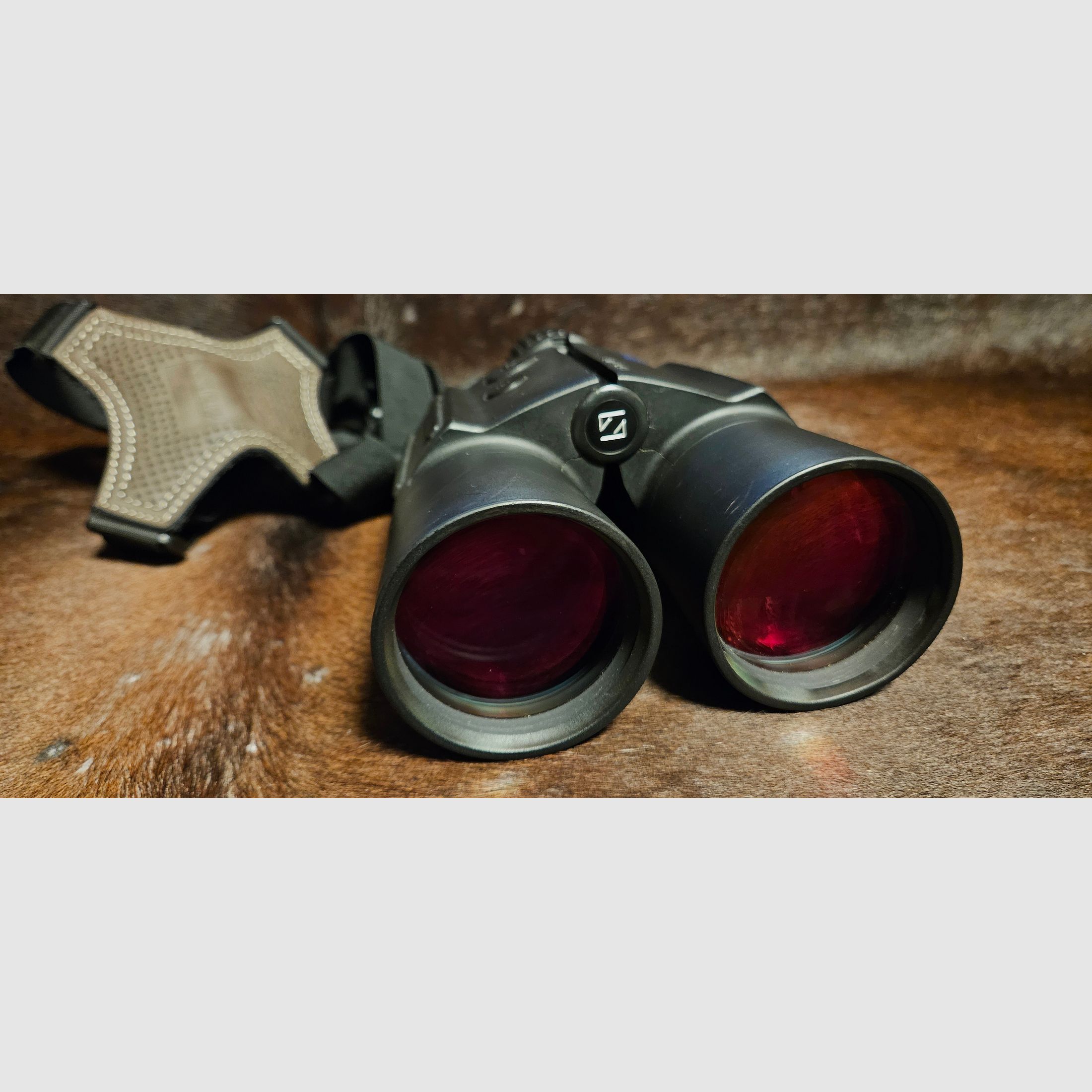 ZEISS Victory 10x56 T RF - Fernglas mit Entfernungsmesser - mit umfangreichem Zubehör