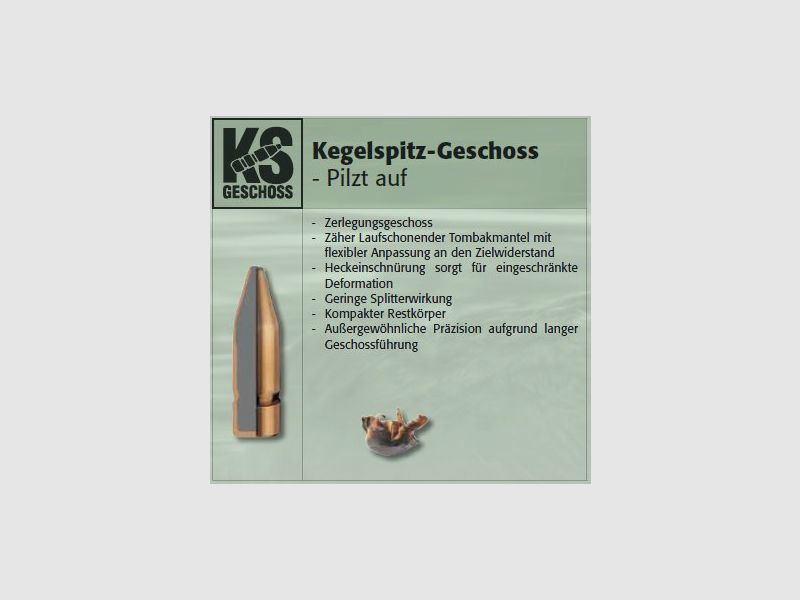 RWS Büchsengeschosse 7mm/284-162-KS  50 Stk 10,5 g