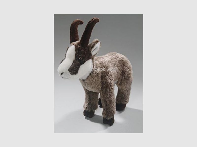 Carl Dick Steinbock aus Plüsch