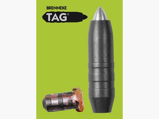 Bullets cal. 7mm (.284) 160gr TAG Brenneke 25 pcs.